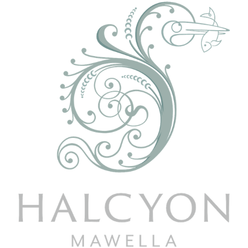 Halcyon Mawella